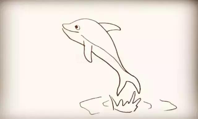 跳出水面的可爱海豚简笔画