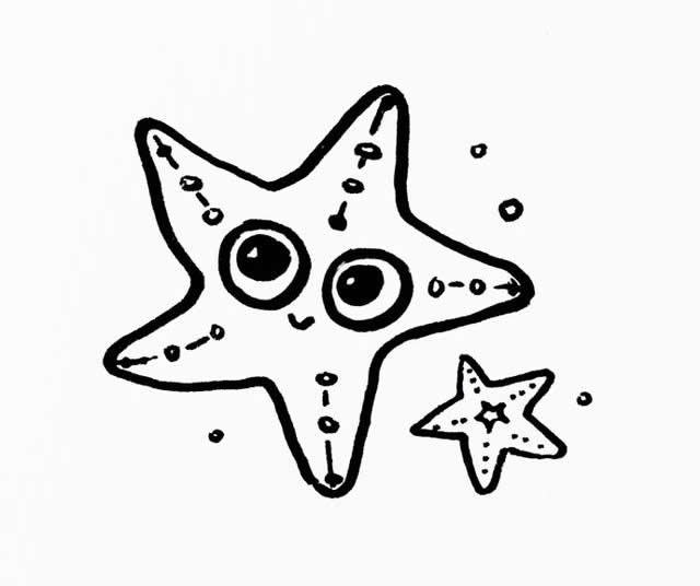 两只可爱的海星简笔画