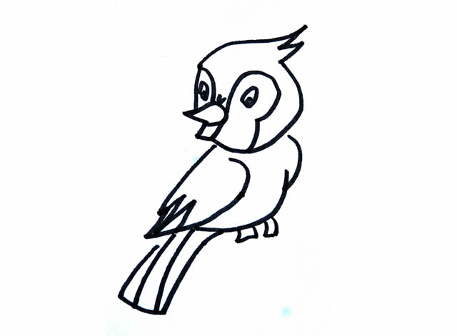 漂亮的小鸟简笔画带涂色 漂亮的小鸟简笔画带涂色