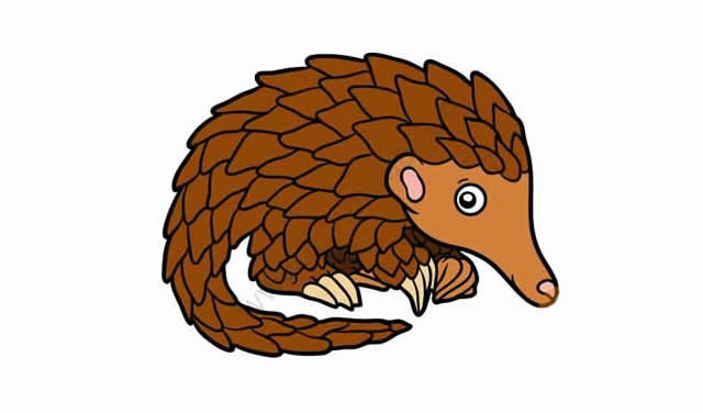 穿山甲怎么画 涂色的穿山甲简笔画教程