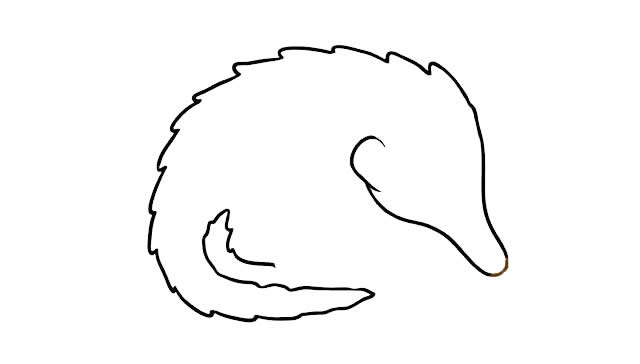 穿山甲怎么画 涂色的穿山甲简笔画教程
