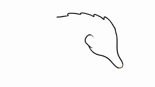 穿山甲怎么画 涂色的穿山甲简笔画教程