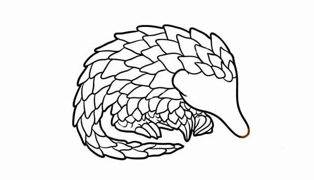 穿山甲怎么画 涂色的穿山甲简笔画教程