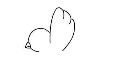 简单的小鸟怎么画