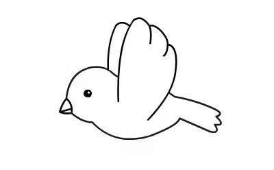简单的小鸟怎么画