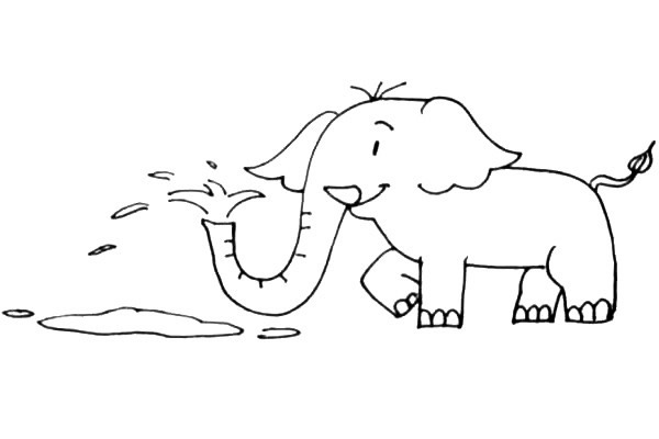 喷水的大象简笔画步骤