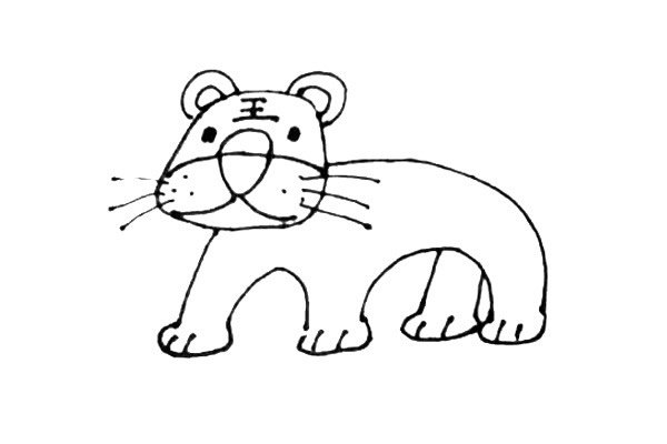 老虎怎么画 涂色的老虎简笔画