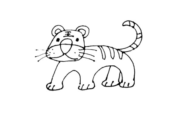 老虎怎么画 涂色的老虎简笔画