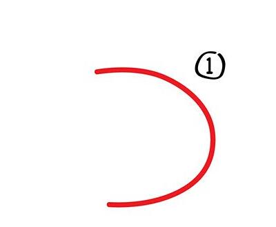 小兔子简笔画详细步骤分解