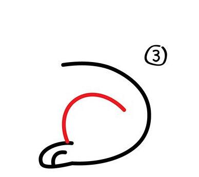 小兔子简笔画详细步骤分解