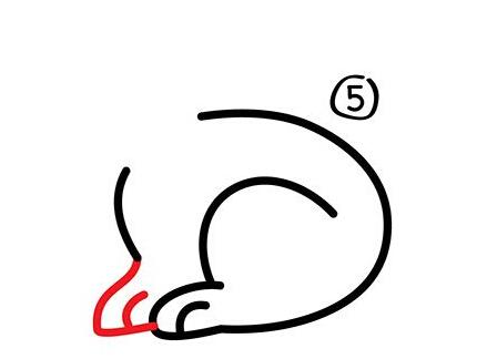 小兔子简笔画详细步骤分解