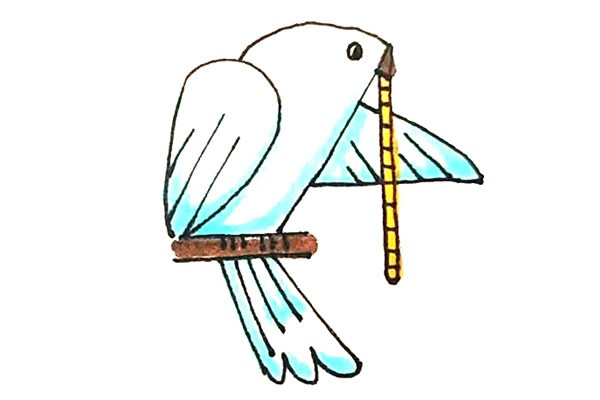 怎么用数字画一只鸽子