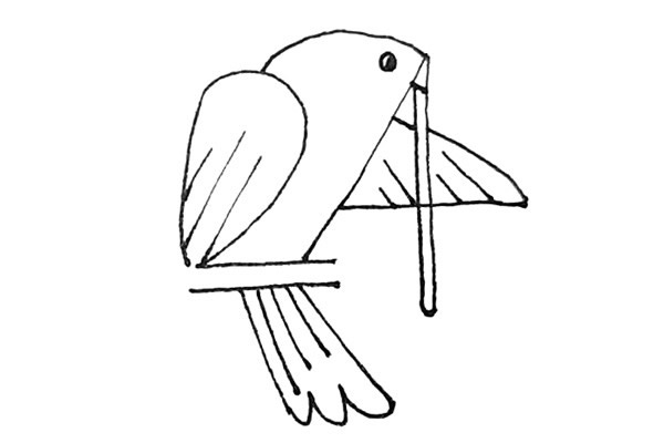 怎么用数字画一只鸽子