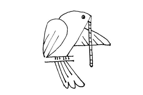 怎么用数字画一只鸽子