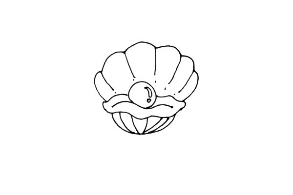 漂亮的珍珠贝壳简笔画步骤