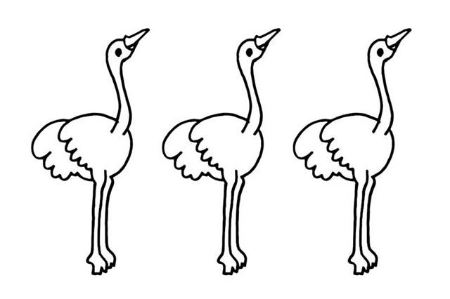 分享一组鸵鸟的简笔画