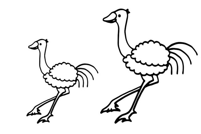分享一组鸵鸟的简笔画