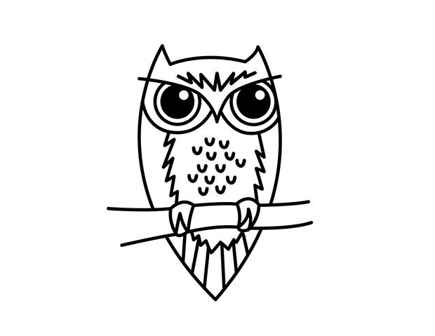 猫头鹰怎么画 猫头鹰简笔画步骤分解