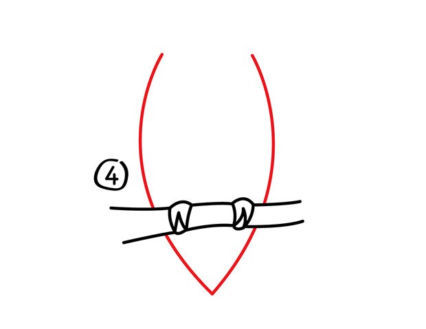 猫头鹰怎么画 猫头鹰简笔画步骤分解