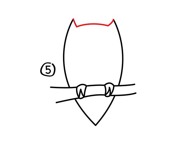 猫头鹰怎么画 猫头鹰简笔画步骤分解