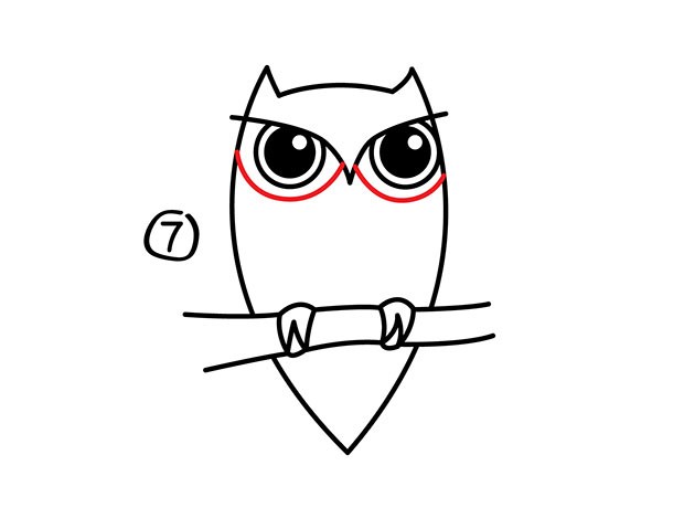 猫头鹰怎么画 猫头鹰简笔画步骤分解