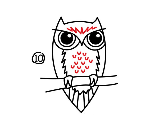 猫头鹰怎么画 猫头鹰简笔画步骤分解