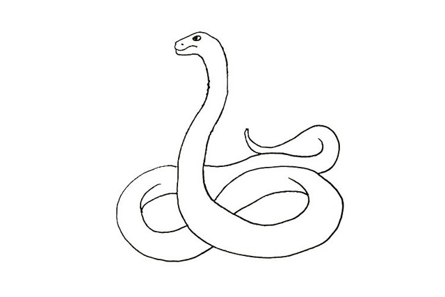 眼镜蛇怎么画 涂色的眼镜蛇简笔画