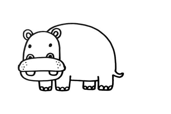 草地上的河马简笔画步骤