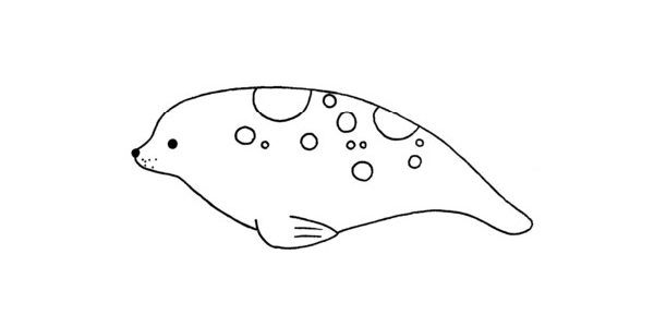 简单的海豹怎么画