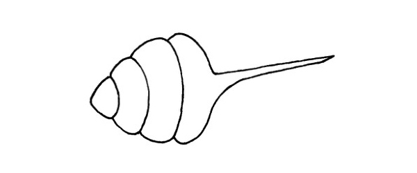 带刺的贝壳简笔画步骤