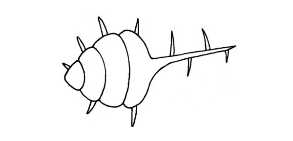 带刺的贝壳简笔画步骤