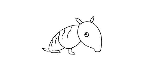 犰狳简笔画步骤教程