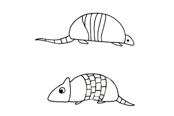 犰狳简笔画步骤教程