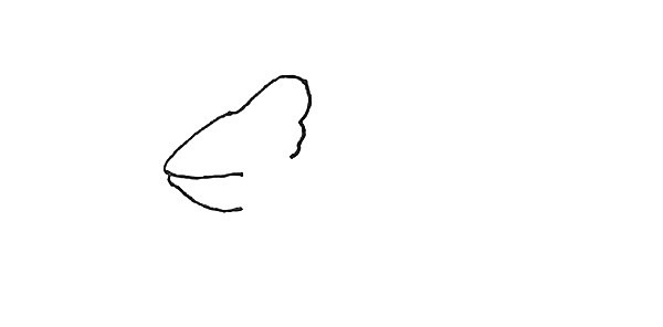 树枝上的变色龙简笔画步骤