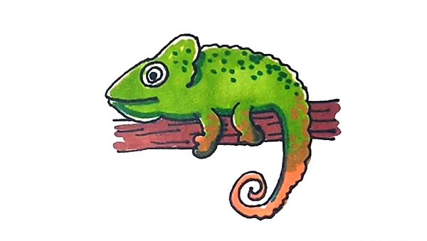 树枝上的变色龙简笔画步骤