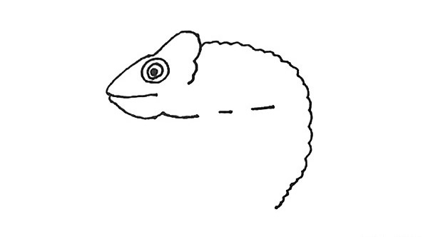 树枝上的变色龙简笔画步骤