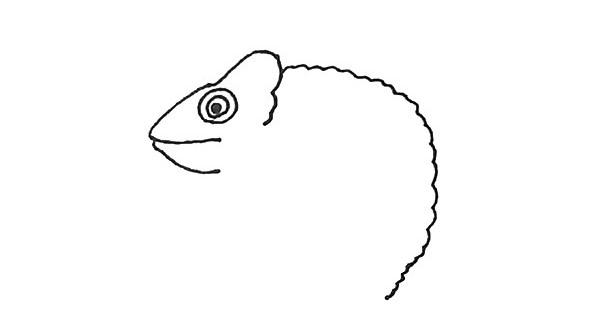 树枝上的变色龙简笔画步骤