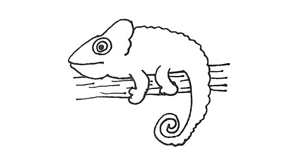 树枝上的变色龙简笔画步骤