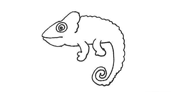 树枝上的变色龙简笔画步骤