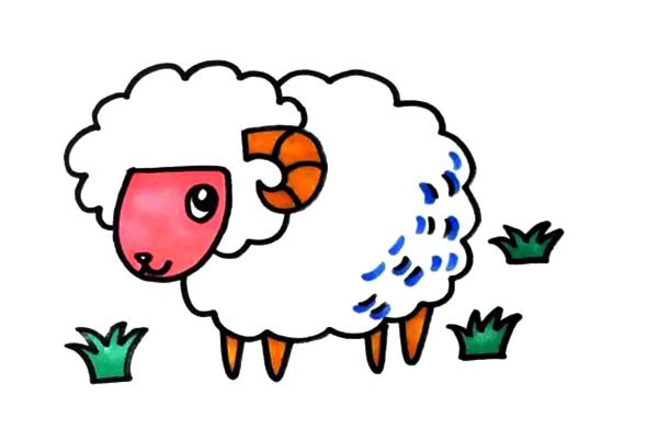 绵羊怎么画 绵羊简笔画步骤