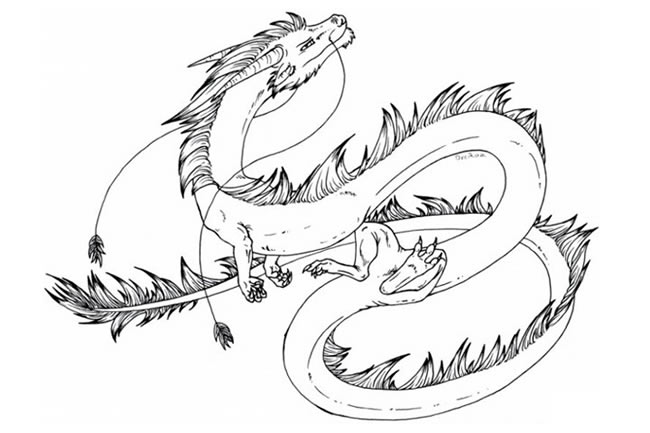 关于中国龙的简笔画