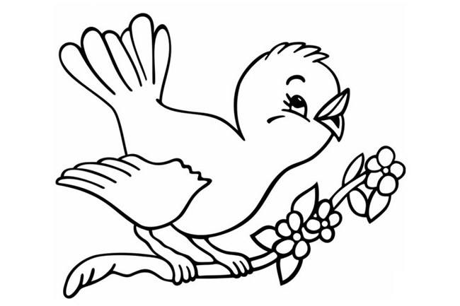 站在树枝上的小鸟简笔画