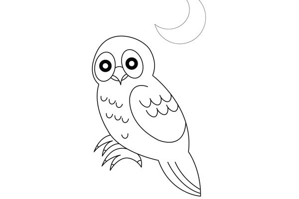 儿童学画猫头鹰简笔画