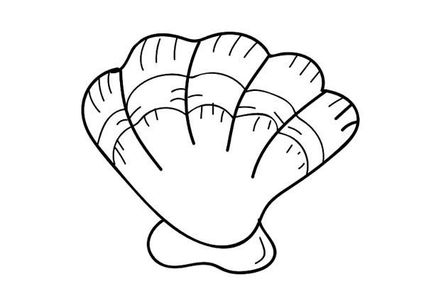 贝壳怎么画 贝壳的简单画法