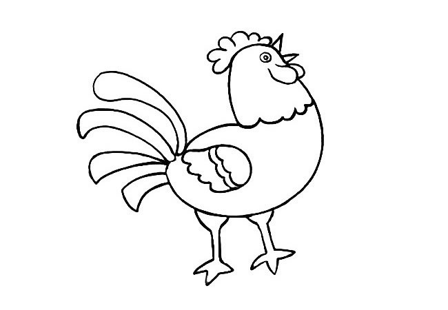 关于金鸡报晓的简笔画