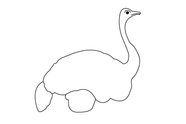 一步步教你画鸵鸟简笔画