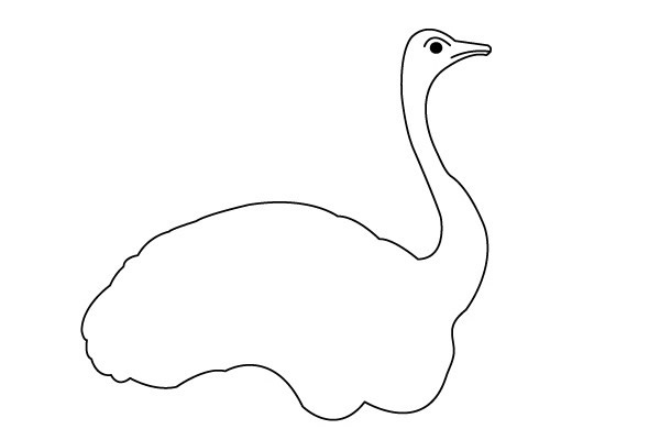 一步步教你画鸵鸟简笔画