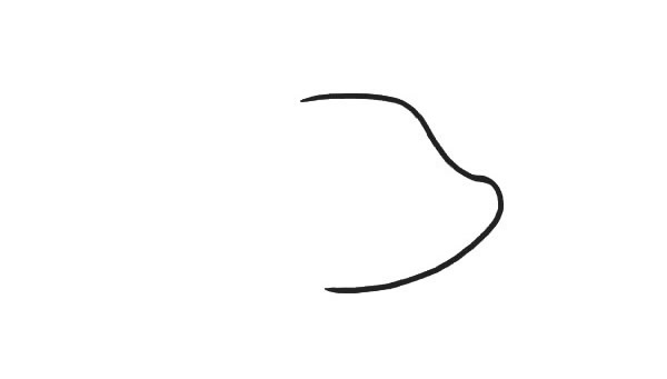 带颜色的可爱小猪卡通简笔画