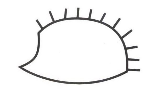 刺猬怎么画 涂色的刺猬简笔画