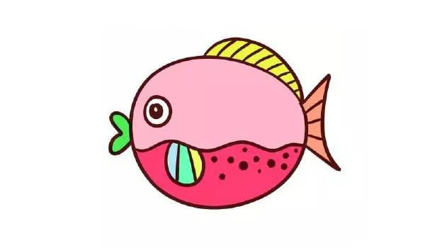 可爱的小胖鱼简笔画步骤